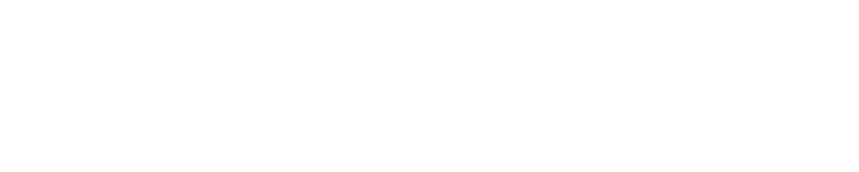 Orly Wachter